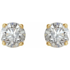 14K Yellow 3/4 CTW Natural Diamond Earrings 14K Yellow 3/4 CTW Natural Diamond Earrings