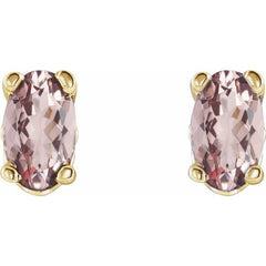 14K Yellow Natural Pink Morganite Earrings 14K Yellow Natural Pink Morganite Earrings